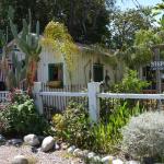 MysteryCruise_0048 (September 06, 2013)